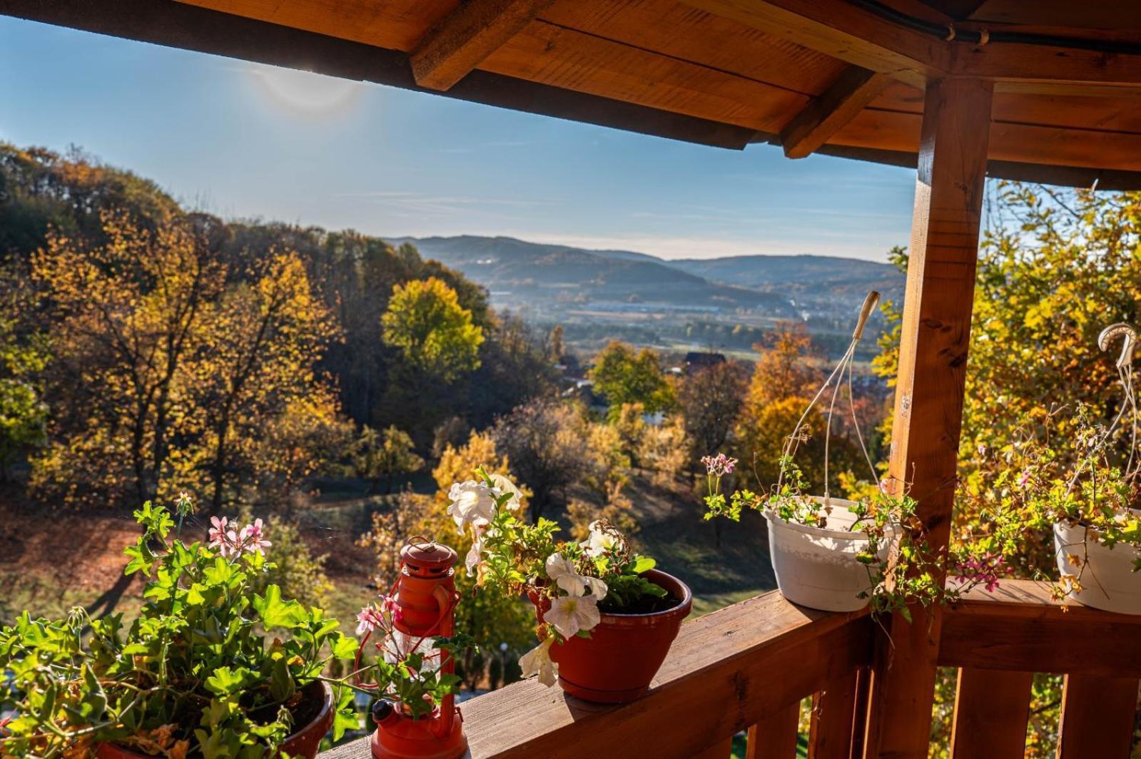 La Maria Si Ioana Apartment คูร์ตา เด อาร์เจช ภายนอก รูปภาพ